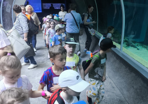 Dzieci obserwujące życie morskie w orientarium