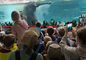 Dzieci oglądające kąpiel słonia w orientarium