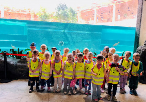 Grupa Zajączki w Zoo Orientarium