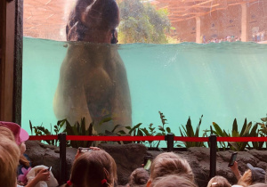 Grupa Zajączki w Zoo Orientarium