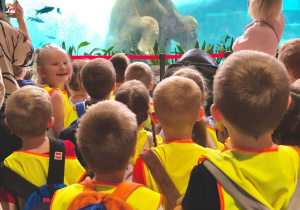 Grupa Zajączki w Zoo Orientarium