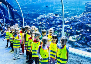 Grupa Zajączki w Zoo Orientarium