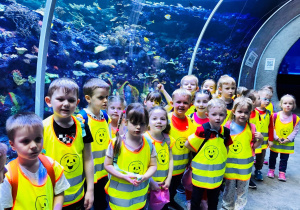 Grupa Zajączki w Zoo Orientarium