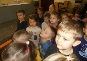 Żuki podczas wycieczki do Fabryki Bombek