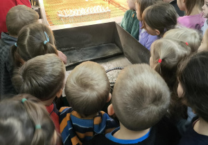 WYCIECZKA DO FABRYKI BOMBEK