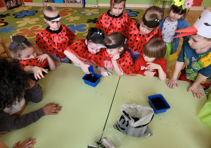 Dzieci wysiewają nasiona i podlewają je wodą.