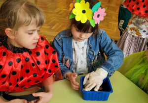 Dziewczynki sadzą nasiona bobu.