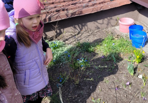 Dwie dziewczynki są zdziwione ile oznak wiosny udało się znaleźć podczas jednego spaceru.