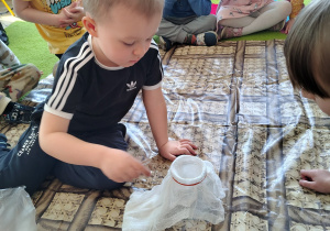 grupa Krasnoludki sadzi fasolkę