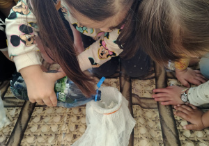 grupa Krasnoludki sadzi fasolkę