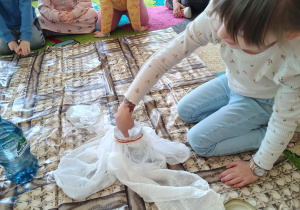 grupa Krasnoludki sadzi fasolkę