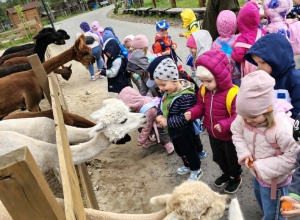 Wycieczka do Dobronianki - mini zoo