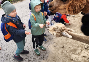 Dzieci na wycieczce w Dobroniance