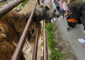 Dzieci na wycieczce w Dobroniance