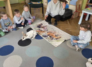 Łódzkie Towarzystwo Opieki nad zwierzętami
