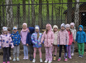 Zielone Przedszkole