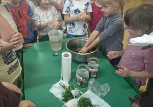 Dzieci po kolei myją składniki potrzebne do kiszenia ogórków.