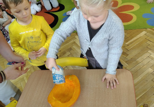 eksperyment z wykorzystaniem dyni