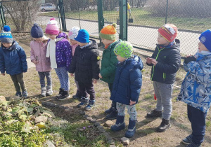 Szukamy wiosny w ogrodzie przedszkolnym