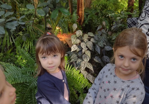 Oglądamy rośliny w palmiarni