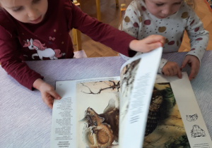 Oglądamy książki o dinozaurach