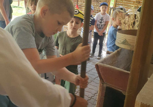 Mielimy ziarna na mąkę za pomocą żarna