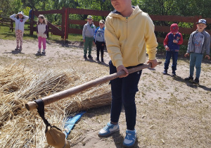 Oddzielamy ziarna od kłosa za pomocą cepa