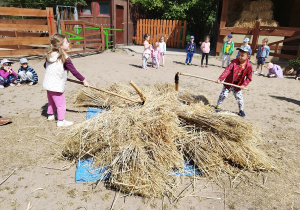 Oddzielamy ziarna od kłosa za pomocą cepa