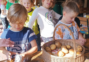 Przygotowujemy ziemniaki na ognisko, zawijamy w sreberka